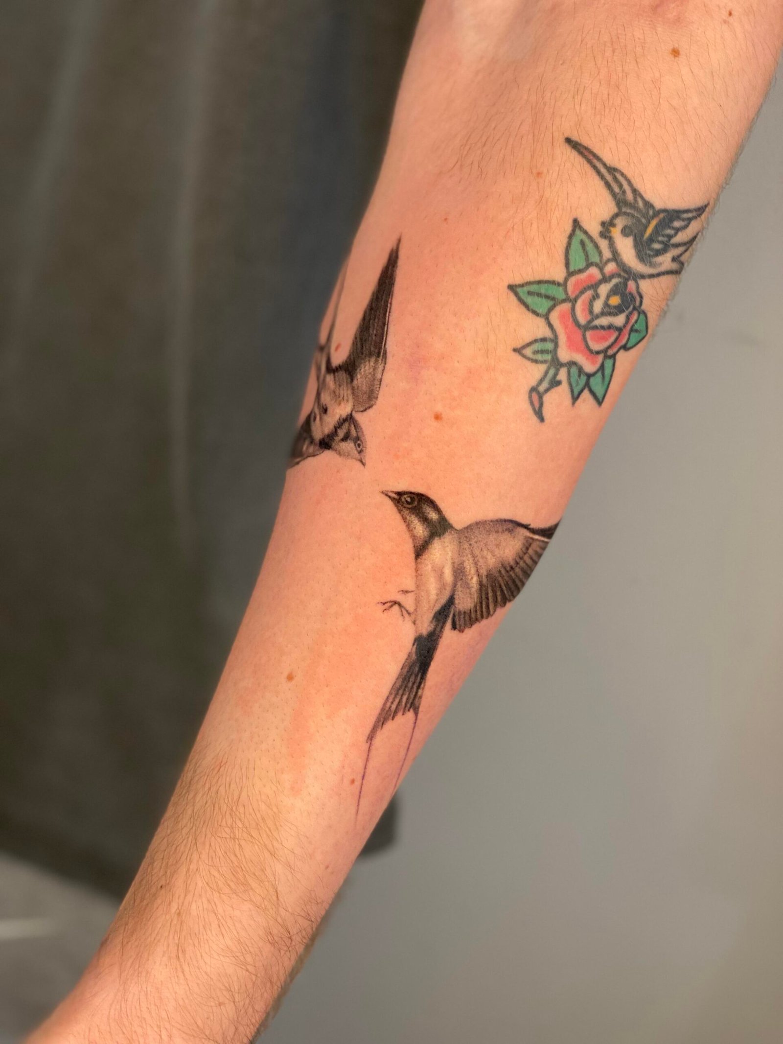 Bold swallow flash art tattoo
